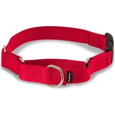 PetSafe