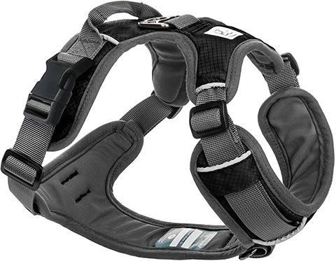 Pusťte se do dobrodružného postroje pro psy