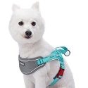 Blueberry Pet Soft neopren