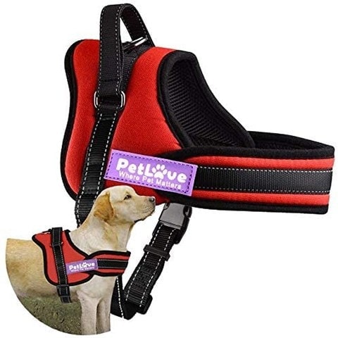 Postroj pro psy PetLove