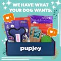PupJoy