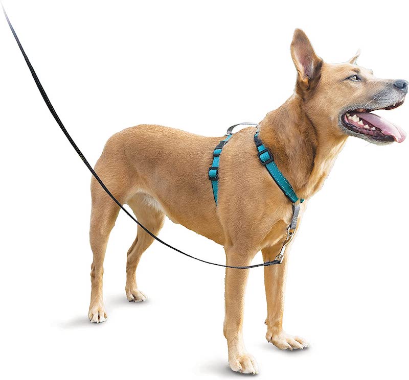 Nášlapný postroj pro psa PetSafe