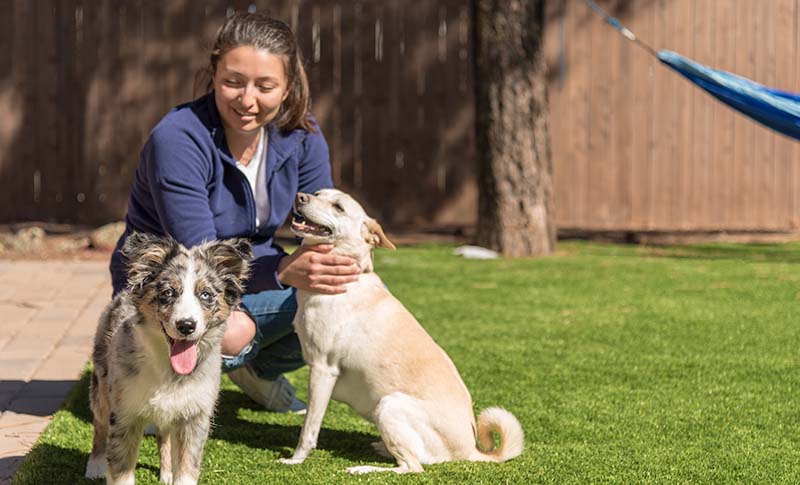 Žena se dvěma psy se zaměřují na šťastné štěně australského ovčáka