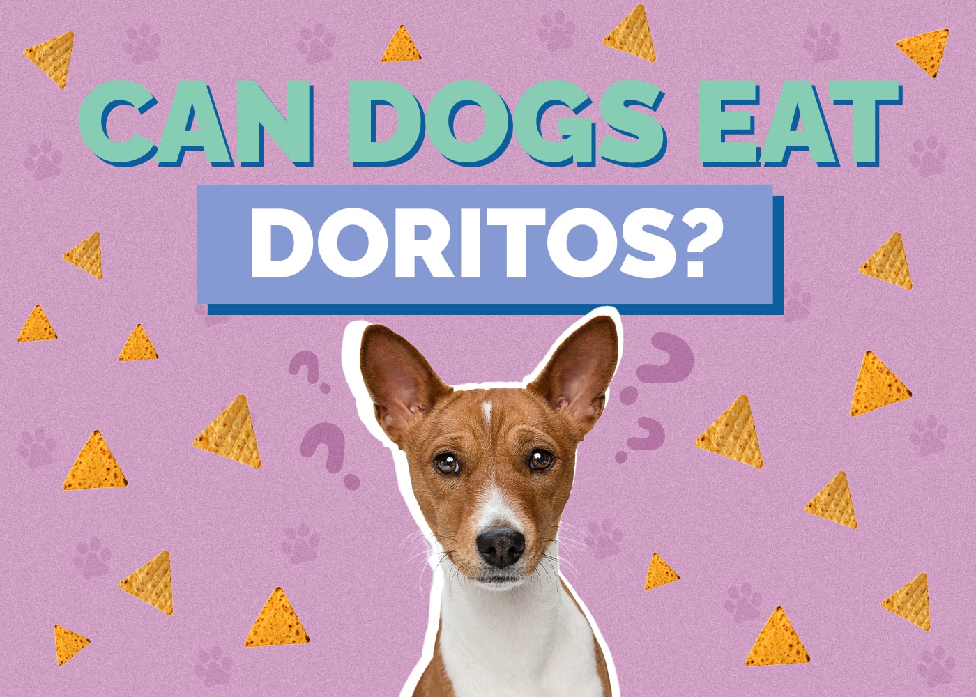 Mohou psi jíst Doritos? Průvodce fakty a bezpečností