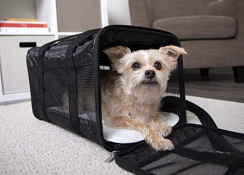 Sherpa Travel Original Deluxe Airline Approved Pet Carrier