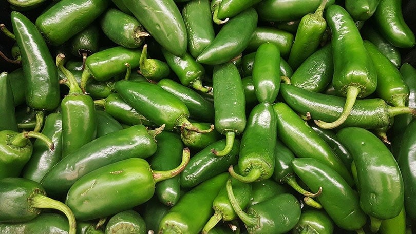 zelené jalapenos