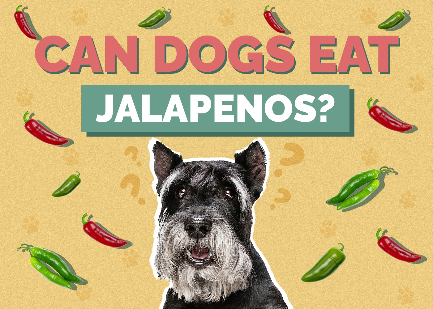 Mohou psi jíst jalapenos