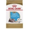 Štěně malého knírače Royal Canin
