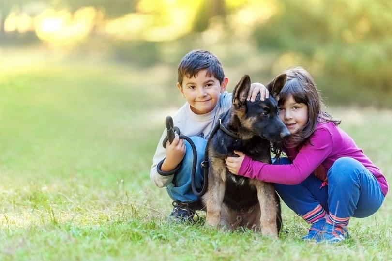 boy-relaxing-and-walking-with-German-Shepherd_Irina_Gulyaeva_shutterstoock