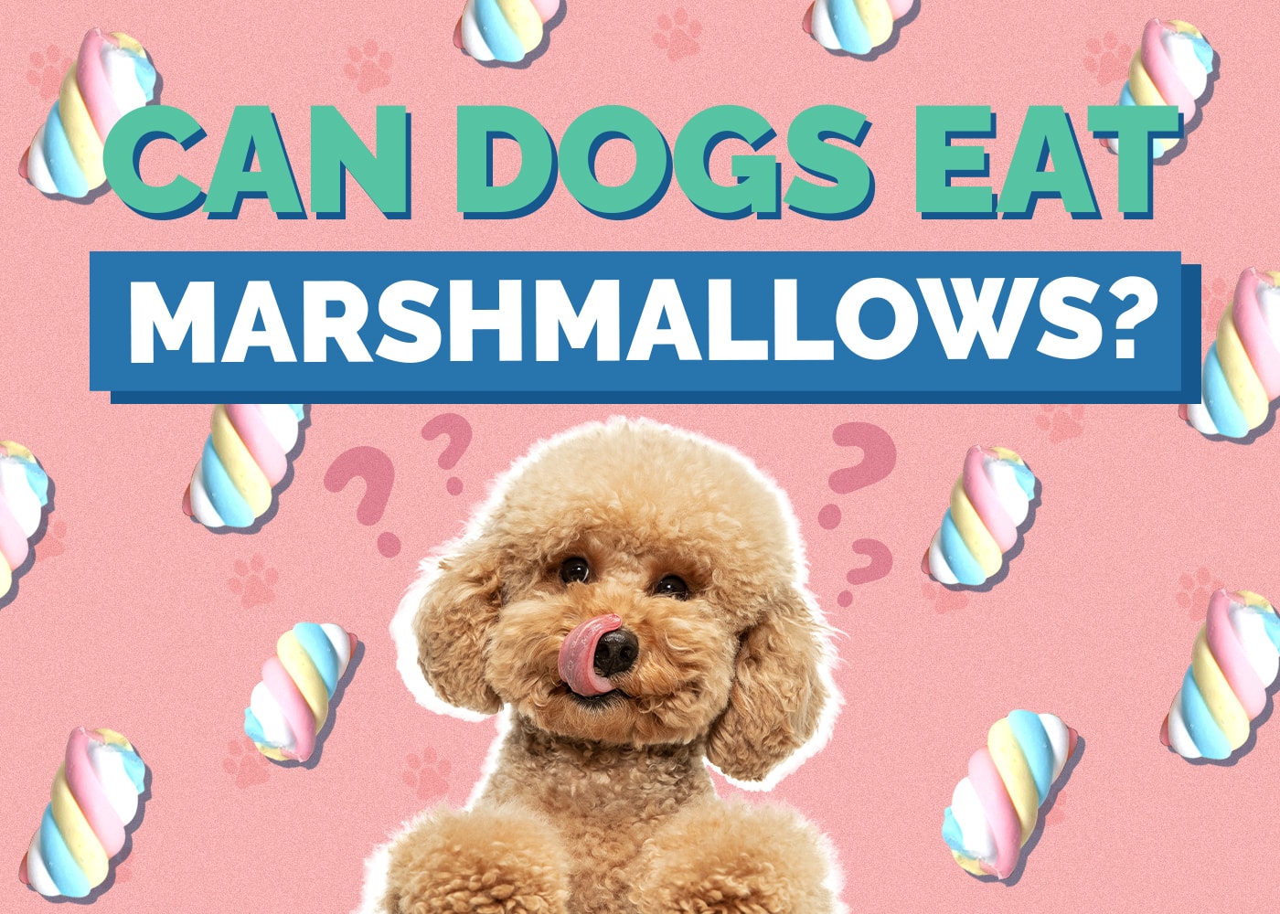 Mohou psi jíst marshmallows? Průvodce fakty a bezpečností