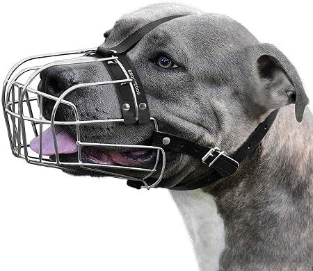 8BRONZEDOG Psí náhubek Pitbull kovová maska ​​Amstaff Wire
