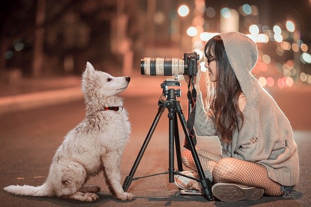 100+ vědecky inspirovaných psích jmen: Chytré a sofistikované nápady