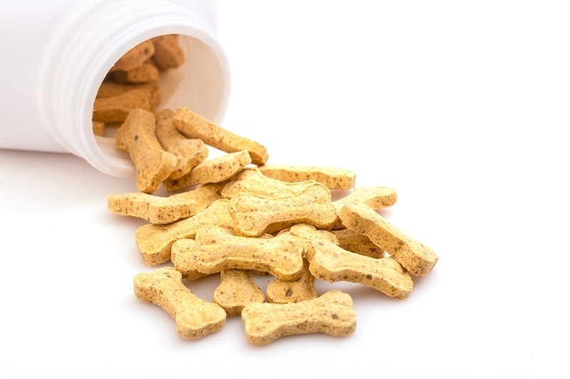 Doplněk vápníku pro psy_shutterstock_Piyawat Nandeenopparit