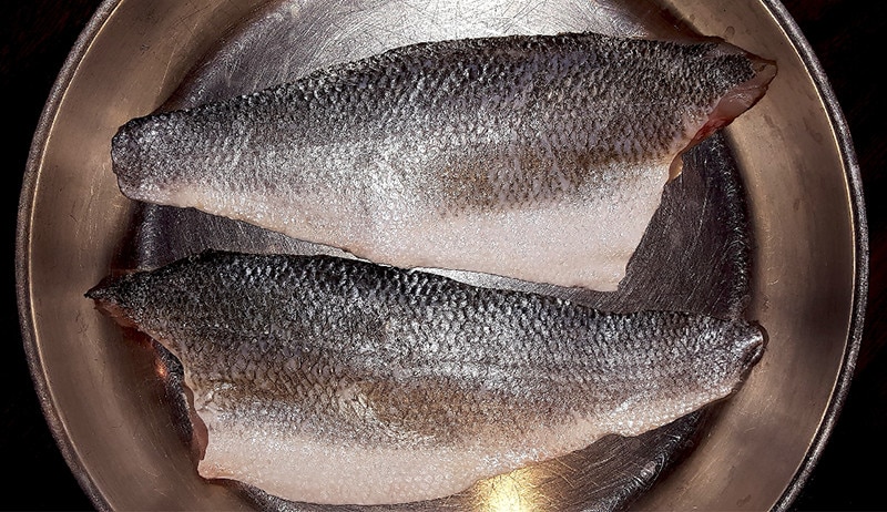 tilapie