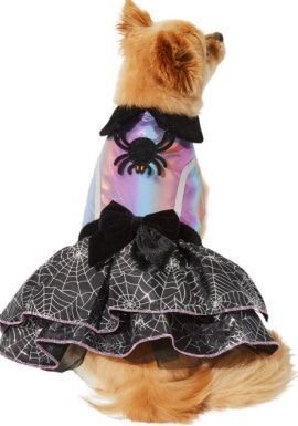 Frisco Iridescent Witch Dog & Cat Costume
