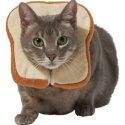 Frisco Bread Cat Costume