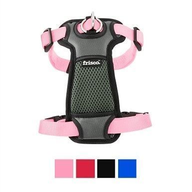 4Frisco Pehmustettu Nylon No Pull Dog Valjaat