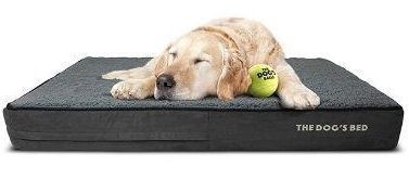 Le lit des chiens