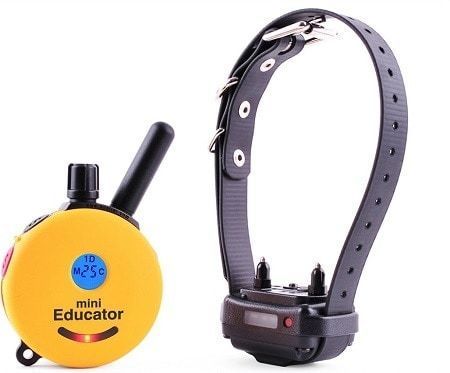 3Educator By E-Collar Technologies Collier de dressage pour chien à distance d'un demi-kilomètre
