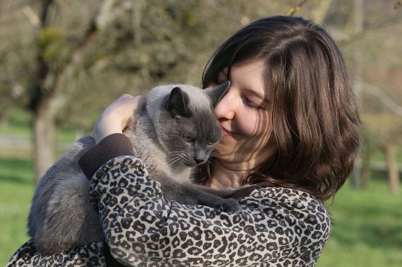 10 migliori razze di gatti ipoallergenici per proprietari con allergie
