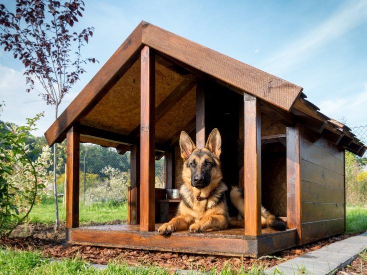 casa de perro de bricolaje