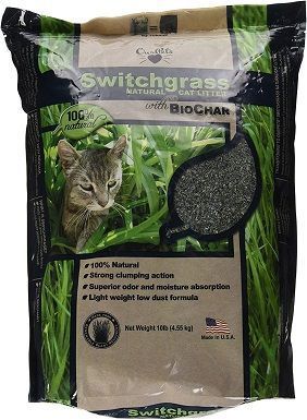 Våre kjæledyr Switchgrass Naturlig