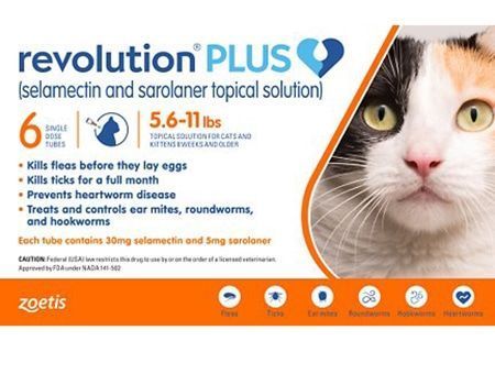 Revolution Plus topisk løsning til katte