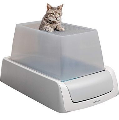 Automatische selbstreinigende Katzentoilette von PetSafe
