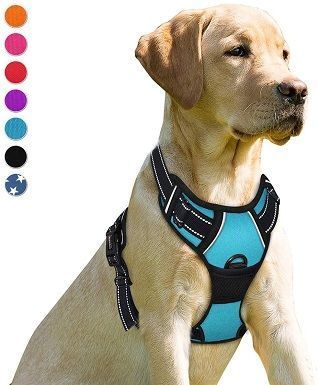 9BARKBAY Çəkilməyən İt Qoşquları