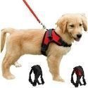 FUNKEEN PET HOUSE Mesh İt Qoşquları