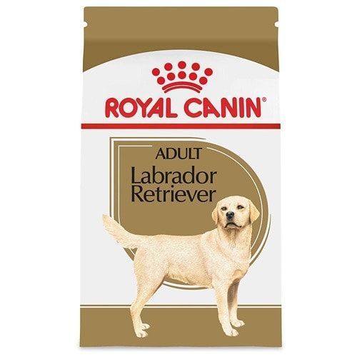 Royal Canin Breed Health Nutrition Labrador Retriever Voksen tørfoder til hunde