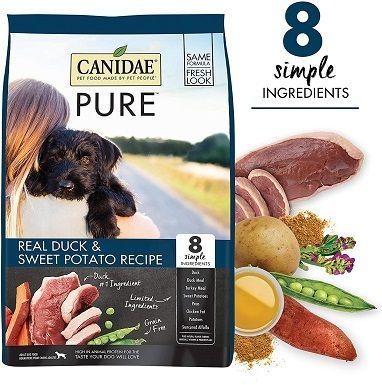 CANIDAE