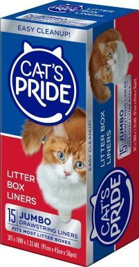 Katt