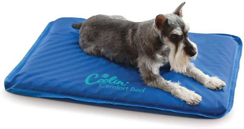 Produits pour animaux de compagnie K&H