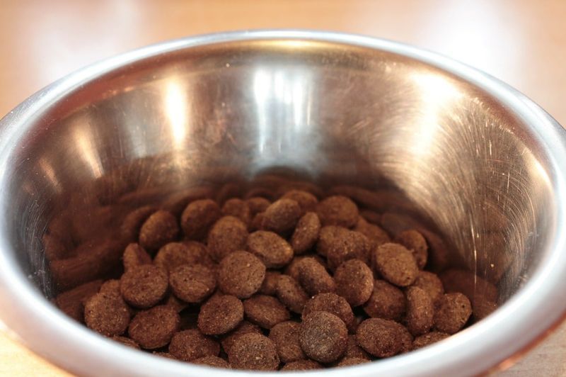 chocolade