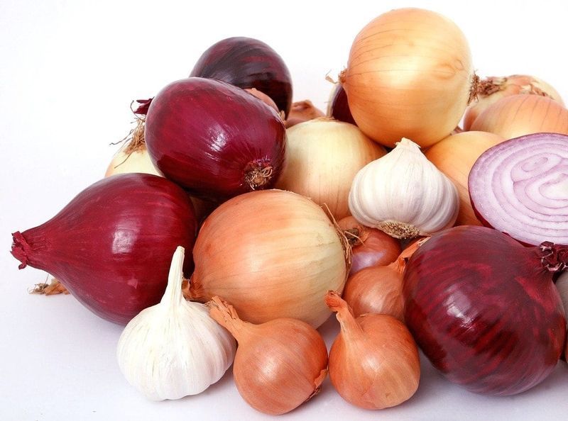 knoflook en uien