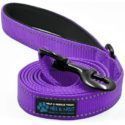 Guinzaglio per cani in nylon catarifrangente Max e Neo