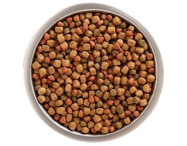 Rachael Ray Nutrish