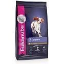 Eukanuba-Welpe