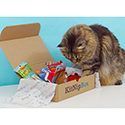 KitNipBox