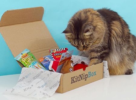 KitNipBox