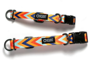 Stunt Puppy Chevron Psí obojek
