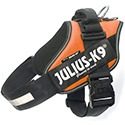 Julius-K9
