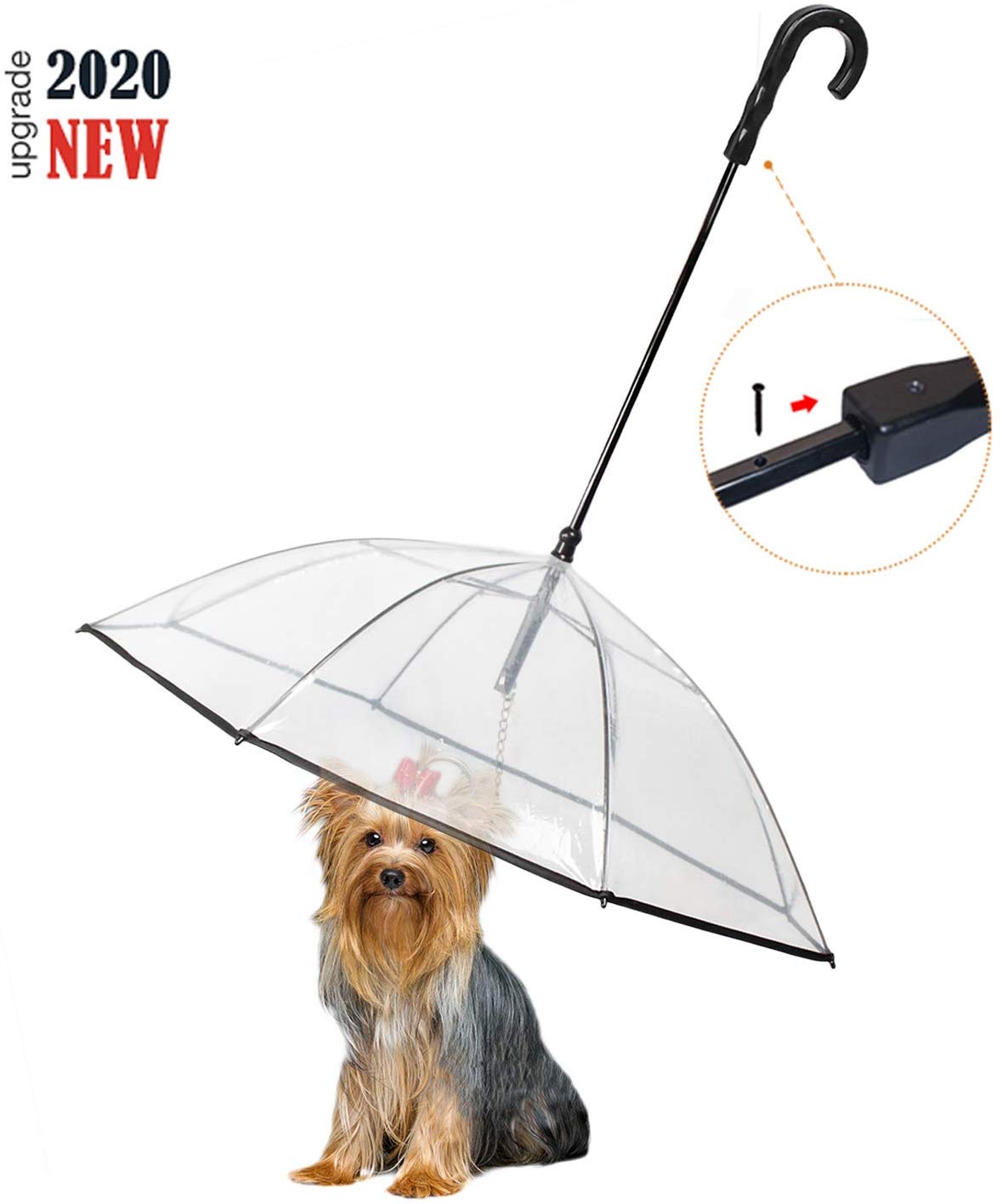 cheer-dog-paw-divider2