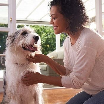 Frontline Plus voor honden Kleine hond (5-22 pond) Vlooien- en tekenbehandeling