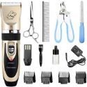Ceenwes Silent Clippers
