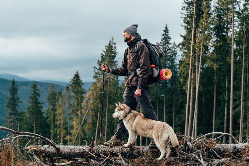 mužský turista se psem sibiřský husky