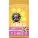 Iams ProActive Health Smart Puppy Trockenfutter für Hunde