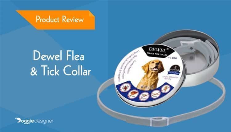 Dewel Flea & Tick Collar Recenzja 2021 – Plusy, minusy i werdykt