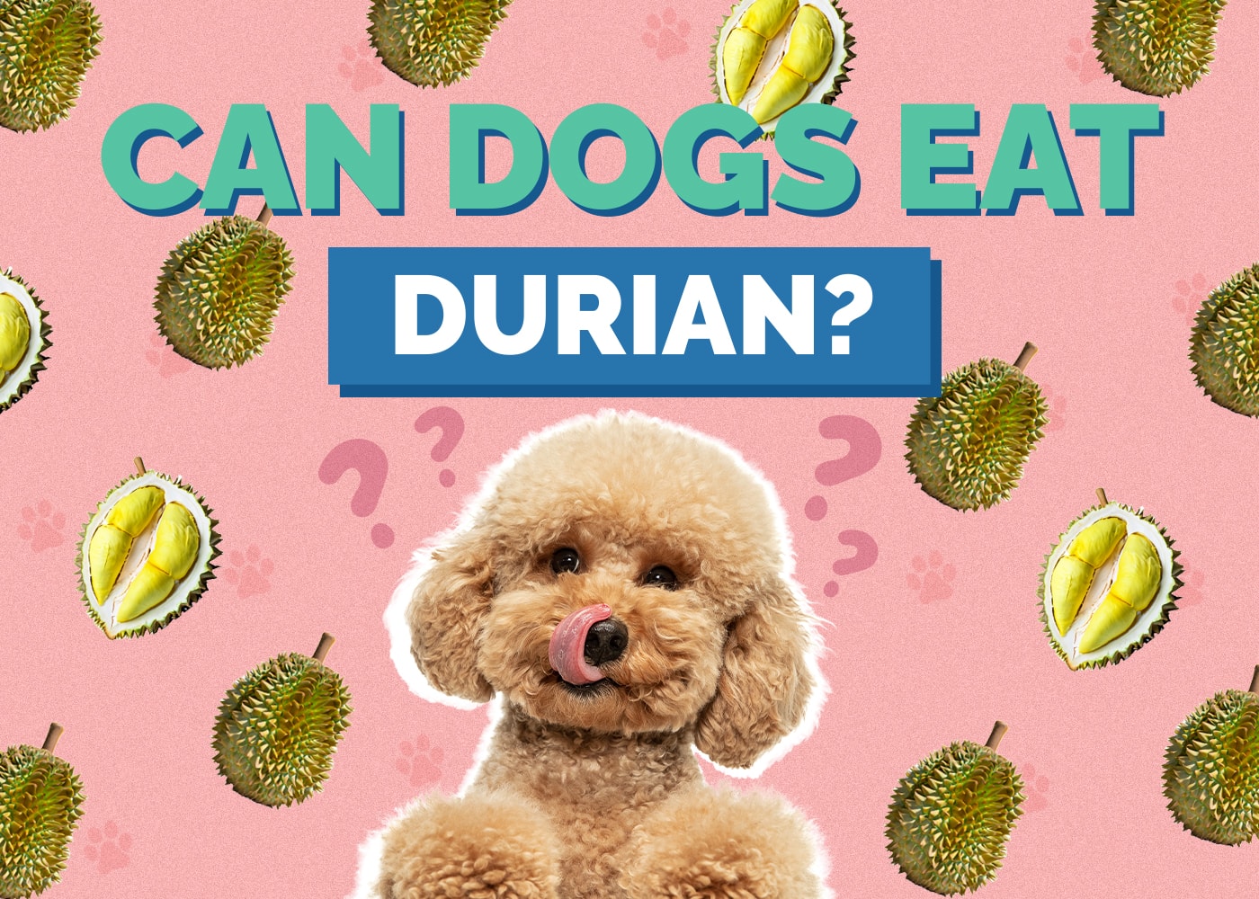 Mohou psi jíst Durian? Výhody a rizika schválená veterinárním lékařem